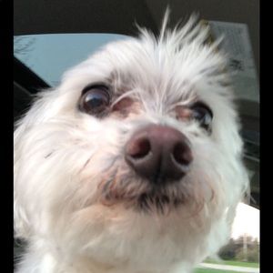 Meet your Posher, Marissa